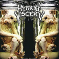 Perverse Ignorance/The Similarity To The Human Beings Is His Destiny/Caca