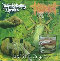 Split-Organ [CD1]