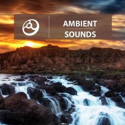 Ambient Sounds