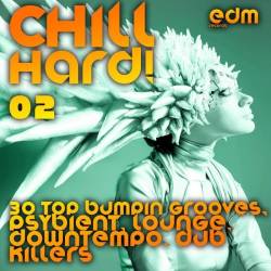 Chill Hard! Vol. 2